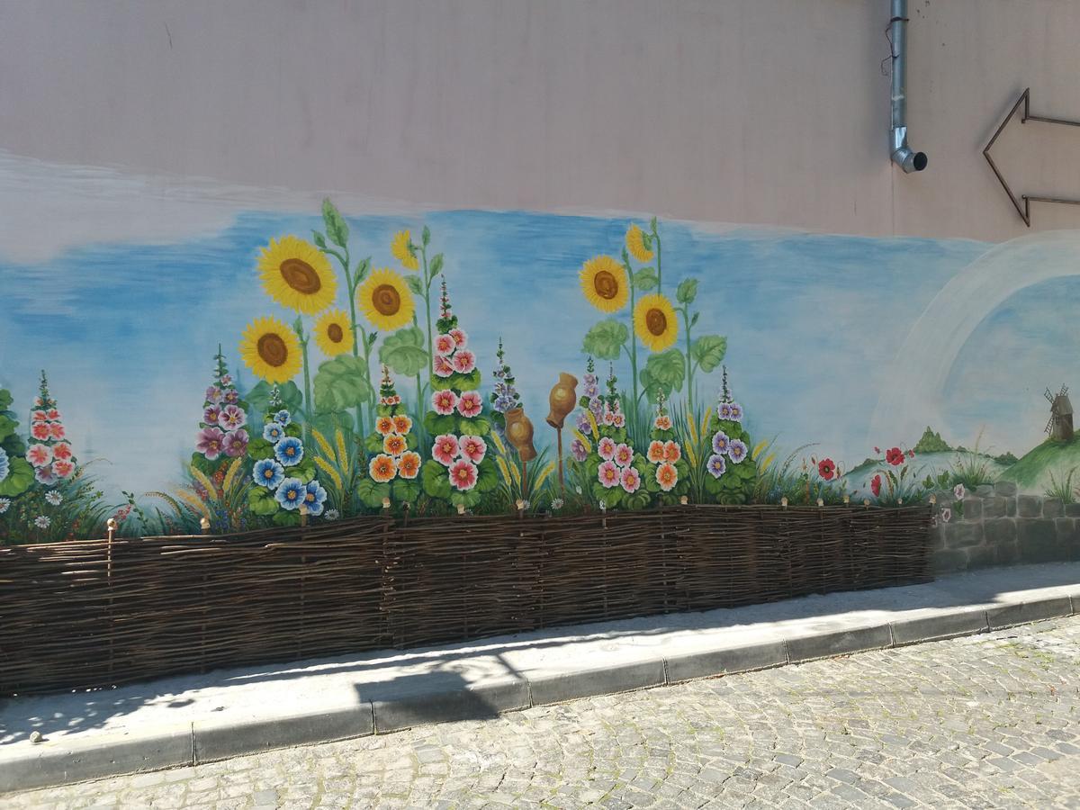 Уютные Апартаменты В Самом Сердце Старого Города Kamianets-Podilsky Extérieur photo